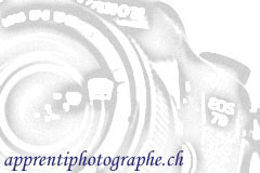 Image IPB