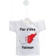 Car's Mini T-Shirt - Fier d'être Valaisan