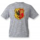 Youth T-shirt - Geneva coat of arms, Ash Heater