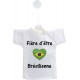 Car's Mini T-Shirt - Fière d'être Brésilienne