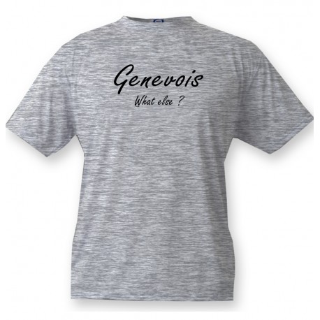 T-Shirt humoristique mode homme - Genevois, What else, Ash Heater