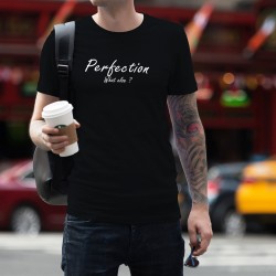 T-shirt coton mode homme - Perfection, What else ?