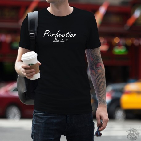 Men's cotton T-Shirt - Perfection, What else ?