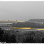 Entre champs et forêts