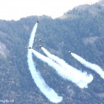 Sion Air Show 2011, Breitling Jet Team