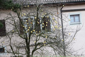 pommes de glace