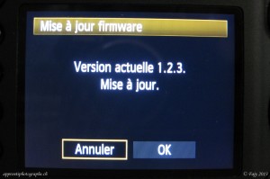 La version d'origine du Firmware de mon boitier.