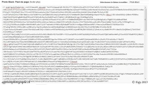 Exemple de fichier PHP crypté