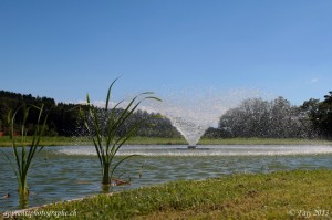 L'étang du gîte du Gros Essert près de Rue