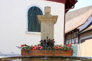 Une des fontaines fleuries de Stein am Rhein