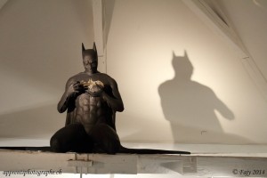 Batman est à "La Maison d'Ailleurs"