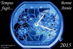 Tempus fugit - Montre Daniel Aubert, musée international d'horlogerie de La Chaux-de-Fonds - Bonne et heureuse année 2015