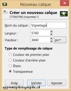 La boite de dialogue création d'un nouveau calque