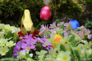 Apaisés par le sérieux du lapin gardien, les oeufs de Pâques se tranquillisent