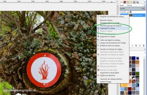 L'onglet calque de Gimp, touche droite de la souris et cliquer sur "dupliquer le calque"