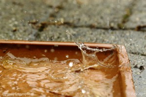 L'importance de l'ouverture pour augmenter la profondeur de champ - Ici, la plage de netteté commence au niveau de l'avant de la couronne d'eau et s'arrête un peu avant le rebord du fond de la soucoupe