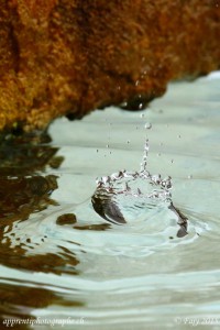 Splash en couronne dans le bassin d'une fontaine