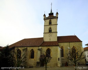 La Collégiale Saint-Laurent - Estavayer-le-Lac